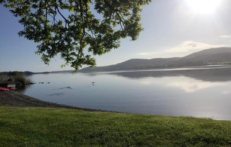 Lakeside Cottage Killaloe Bagian luar foto